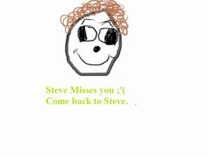 Steve misses you.jpg